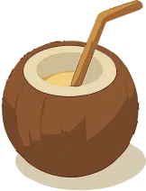 Accueil 18 boisson noix coco