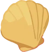 Alentours 29 coquillage beige