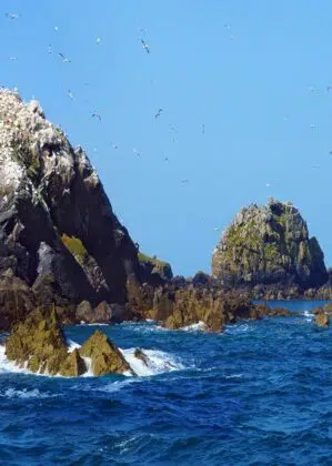 Alentours 31 cote darmor 22 alizes