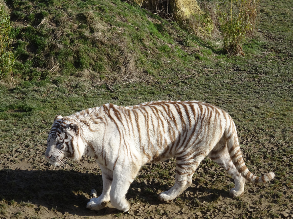 photo 635827554281559623 1