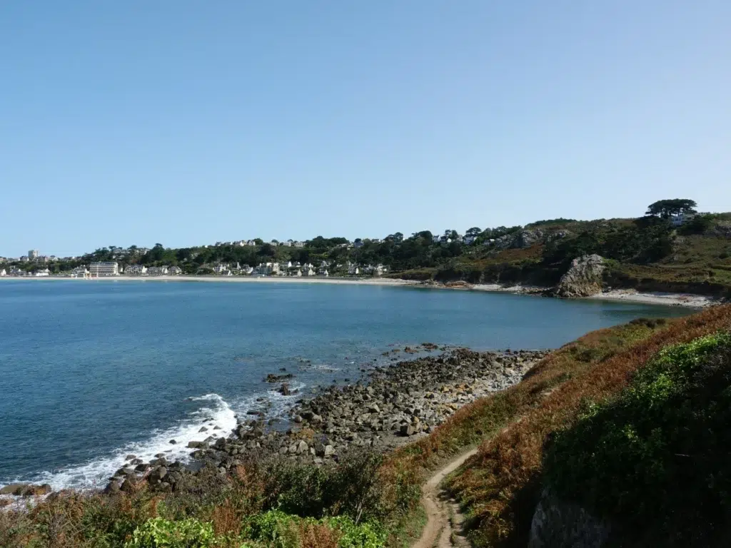 AdobeStock 718369770